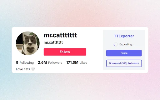 TTExporter: Exporta Seguidores de TikTok a Excel – Gratis - Screenshot 2