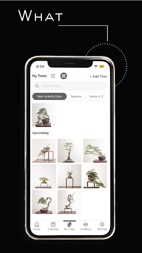 Mirai Mobile: Tu Guía Personal de Bonsái – Descarga la App - Screenshot 3